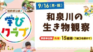 【相鉄線沿線「学びクラブ」】和泉川の生き物観察2024年9月16日（月・祝）