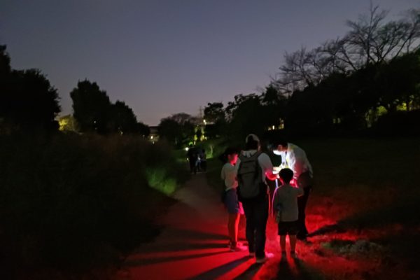 【相鉄線沿線「学びクラブ」】親子でナイトウォークラリー　2024年10月12日（土）